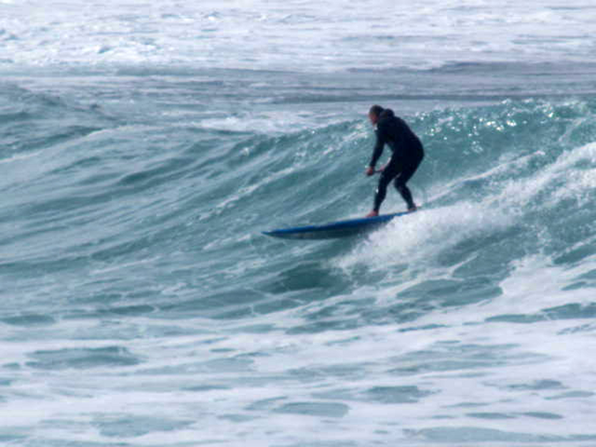 sups wd84 Woody3 Woody Ripping