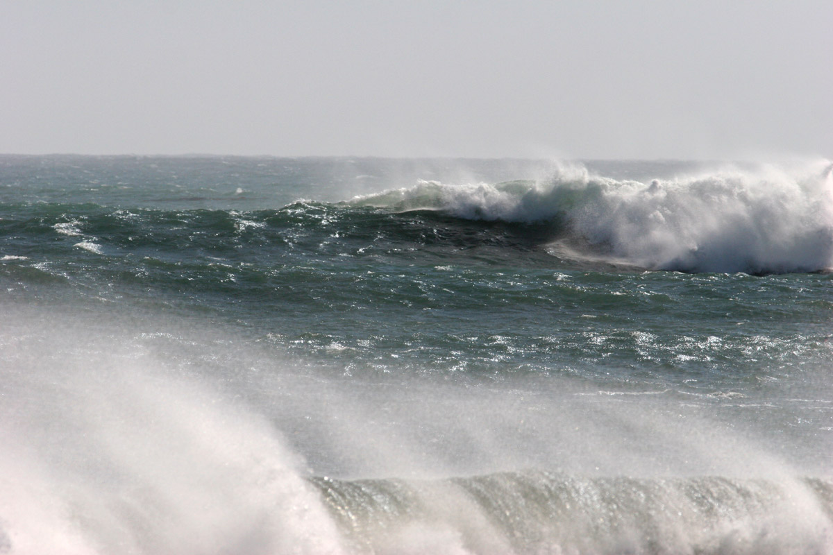 cali_dreamin_wave1 