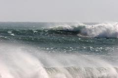 cali_dreamin_wave1